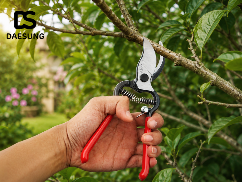 Các loại kéo cắt cành phổ biến hiện nay và cách lựa chọn phù hợp