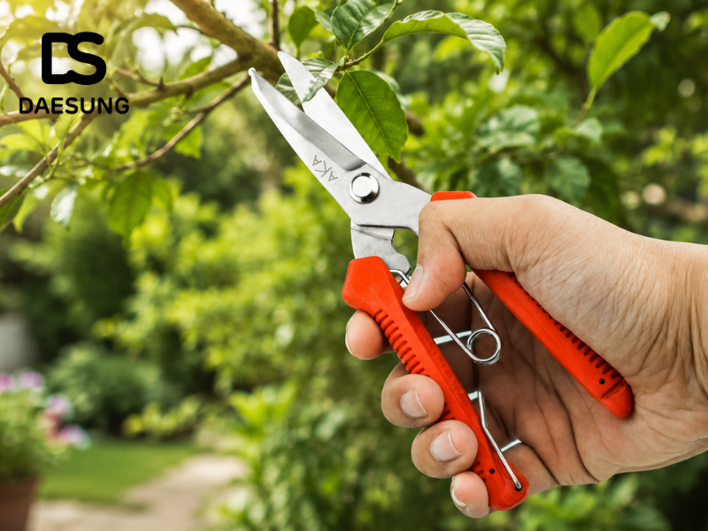 Các loại kéo cắt cành phổ biến hiện nay và cách lựa chọn phù hợp 1